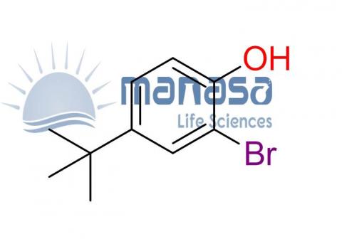 2-bromo-4-(tert-butyl)phenol