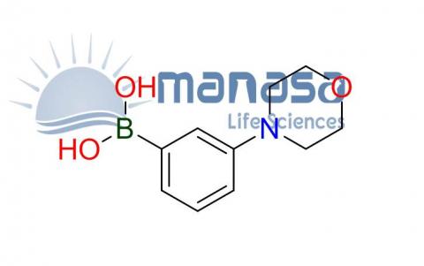 (3-morpholinophenyl)boronic acid